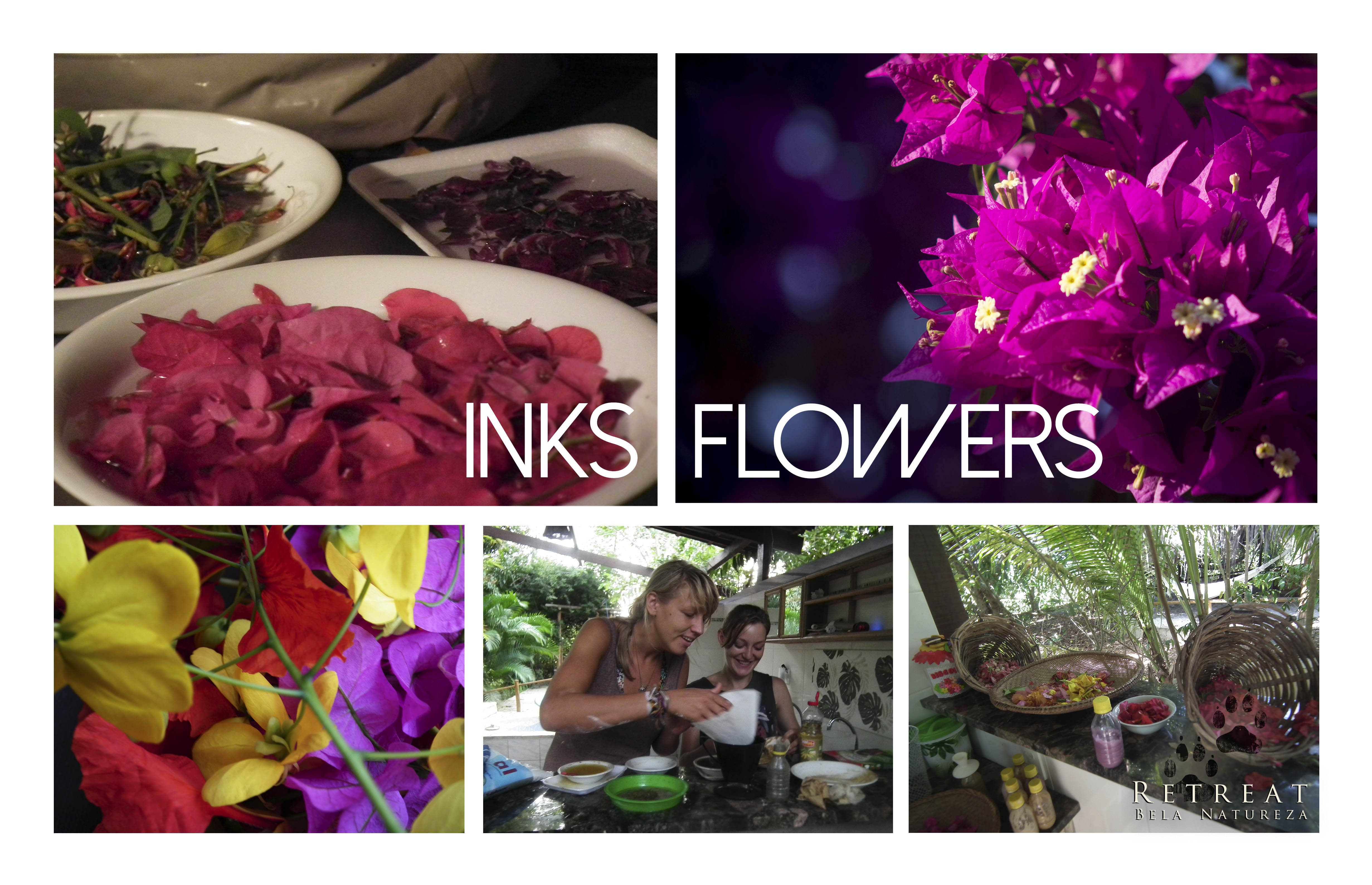 Making Ink Out Of Flowers